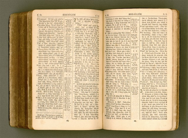 主要名稱：SIN KŪ IOK Ê SÈNG-KENG  TSOÂN SU/其他-其他名稱：新舊約ê聖經全書圖檔，第555張，共571張