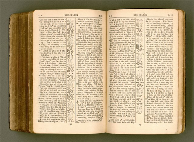 主要名稱：SIN KŪ IOK Ê SÈNG-KENG  TSOÂN SU/其他-其他名稱：新舊約ê聖經全書圖檔，第556張，共571張