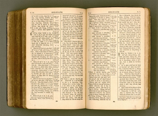 主要名稱：SIN KŪ IOK Ê SÈNG-KENG  TSOÂN SU/其他-其他名稱：新舊約ê聖經全書圖檔，第557張，共571張