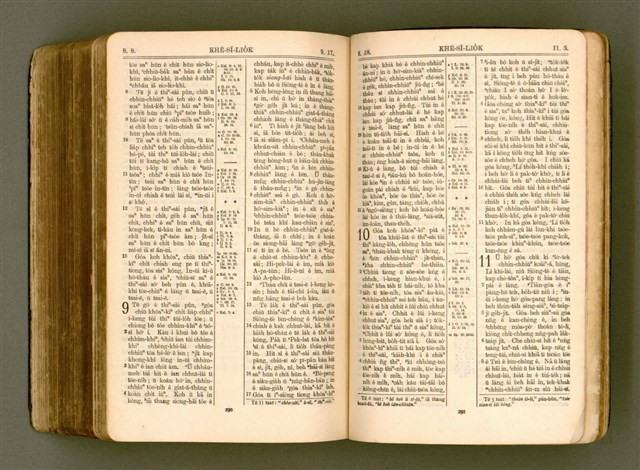 主要名稱：SIN KŪ IOK Ê SÈNG-KENG  TSOÂN SU/其他-其他名稱：新舊約ê聖經全書圖檔，第558張，共571張