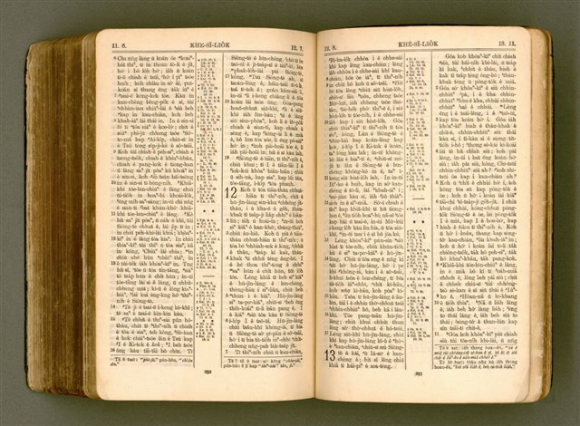 主要名稱：SIN KŪ IOK Ê SÈNG-KENG  TSOÂN SU/其他-其他名稱：新舊約ê聖經全書圖檔，第559張，共571張