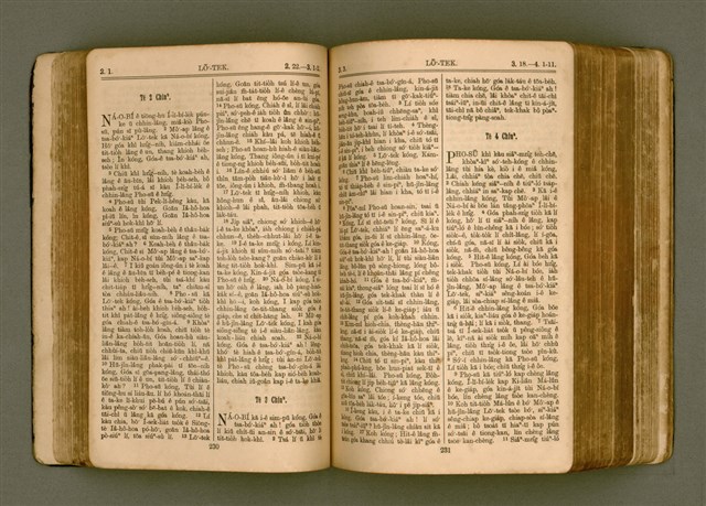 主要名稱：Kū-iok ê Sèng-keng/其他-其他名稱：舊約ê聖經圖檔，第119張，共404張