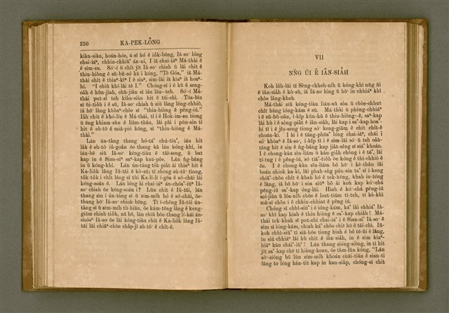 主要名稱：PÊNG-BÎN Ê KI-TOK TOĀN/其他-其他名稱：平民ê基督傳圖檔，第134張，共310張