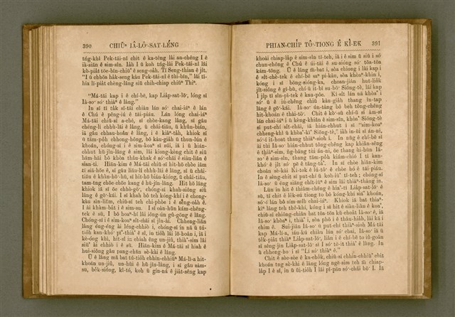 主要名稱：PÊNG-BÎN Ê KI-TOK TOĀN/其他-其他名稱：平民ê基督傳圖檔，第204張，共310張