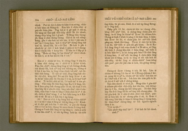 主要名稱：PÊNG-BÎN Ê KI-TOK TOĀN/其他-其他名稱：平民ê基督傳圖檔，第206張，共310張