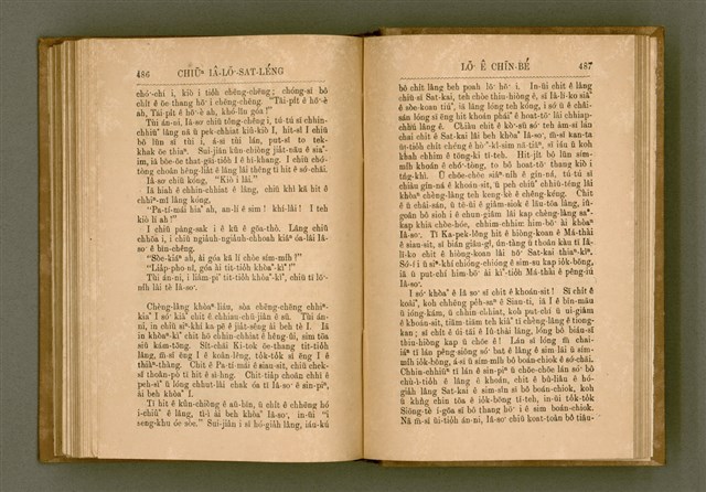 主要名稱：PÊNG-BÎN Ê KI-TOK TOĀN/其他-其他名稱：平民ê基督傳圖檔，第252張，共310張