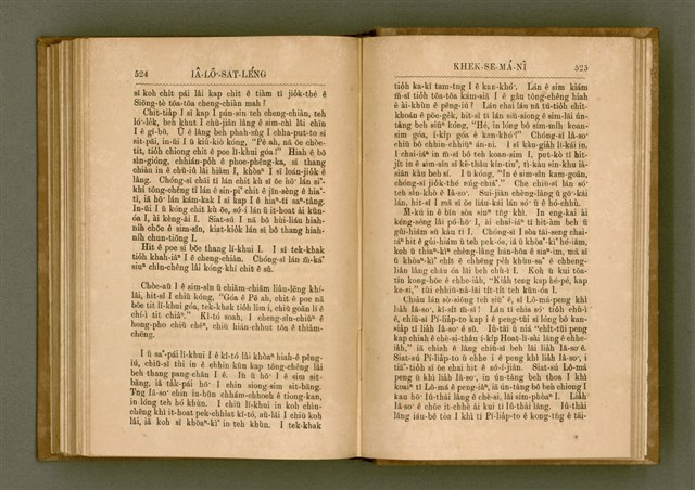 主要名稱：PÊNG-BÎN Ê KI-TOK TOĀN/其他-其他名稱：平民ê基督傳圖檔，第271張，共310張