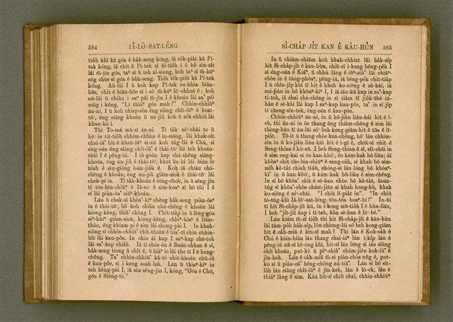 主要名稱：PÊNG-BÎN Ê KI-TOK TOĀN/其他-其他名稱：平民ê基督傳圖檔，第301張，共310張