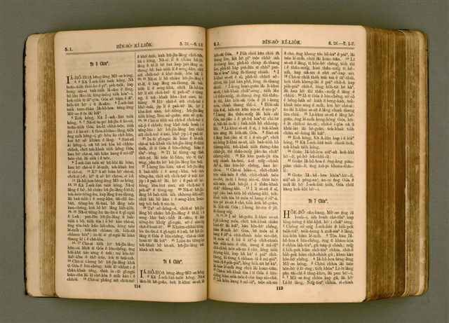主要名稱：SIN KŪ IOK Ê SÈNG-KENG  TSOÂN SU/其他-其他名稱：新舊約ê聖經全書圖檔，第65張，共572張