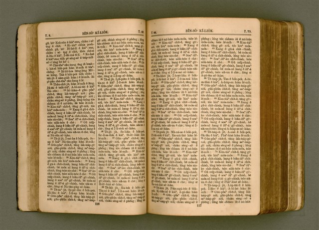 主要名稱：SIN KŪ IOK Ê SÈNG-KENG  TSOÂN SU/其他-其他名稱：新舊約ê聖經全書圖檔，第66張，共572張