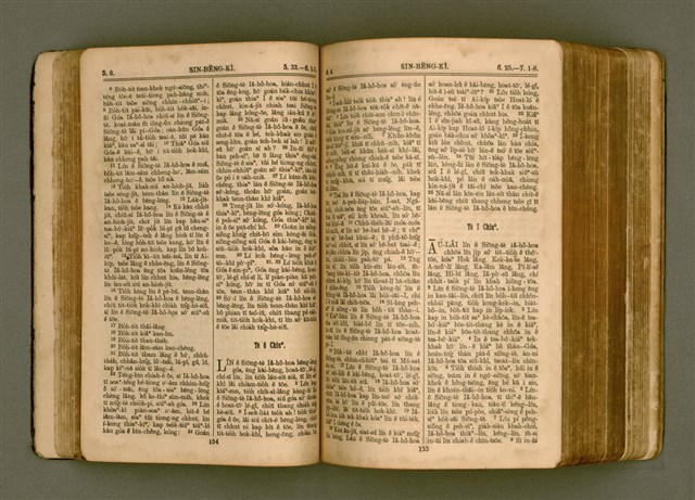 主要名稱：SIN KŪ IOK Ê SÈNG-KENG  TSOÂN SU/其他-其他名稱：新舊約ê聖經全書圖檔，第85張，共572張