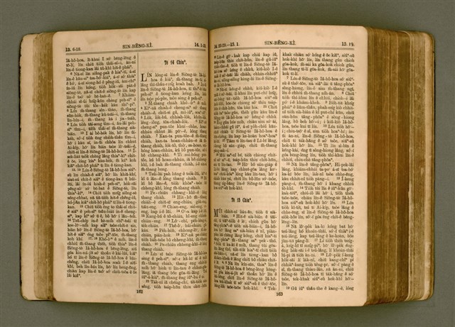 主要名稱：SIN KŪ IOK Ê SÈNG-KENG  TSOÂN SU/其他-其他名稱：新舊約ê聖經全書圖檔，第89張，共572張