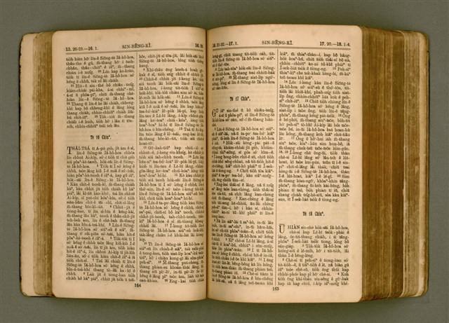 主要名稱：SIN KŪ IOK Ê SÈNG-KENG  TSOÂN SU/其他-其他名稱：新舊約ê聖經全書圖檔，第90張，共572張