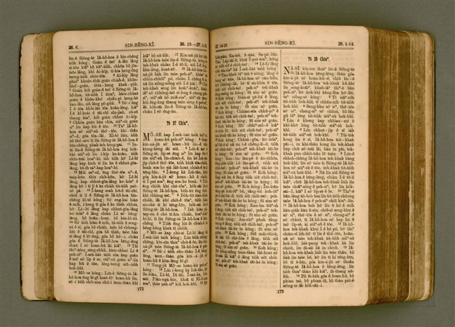 主要名稱：SIN KŪ IOK Ê SÈNG-KENG  TSOÂN SU/其他-其他名稱：新舊約ê聖經全書圖檔，第94張，共572張