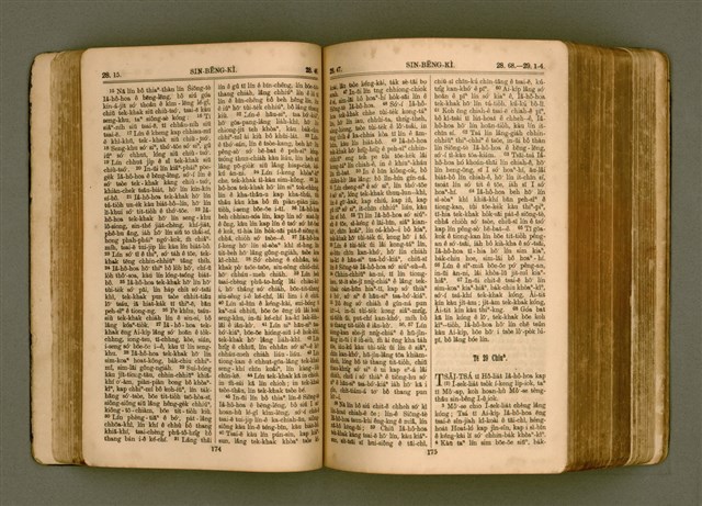 主要名稱：SIN KŪ IOK Ê SÈNG-KENG  TSOÂN SU/其他-其他名稱：新舊約ê聖經全書圖檔，第95張，共572張