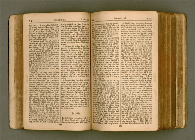 主要名稱：SIN KŪ IOK Ê SÈNG-KENG  TSOÂN SU/其他-其他名稱：新舊約ê聖經全書圖檔，第102張，共572張