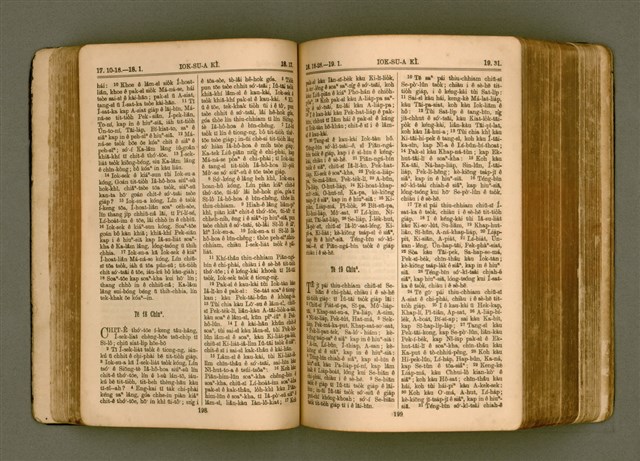 主要名稱：SIN KŪ IOK Ê SÈNG-KENG  TSOÂN SU/其他-其他名稱：新舊約ê聖經全書圖檔，第107張，共572張