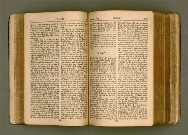 主要名稱：SIN KŪ IOK Ê SÈNG-KENG  TSOÂN SU/其他-其他名稱：新舊約ê聖經全書圖檔，第115張，共572張
