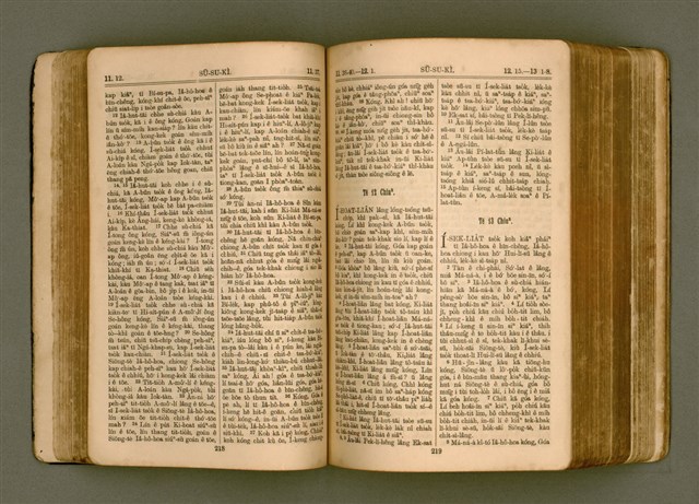 主要名稱：SIN KŪ IOK Ê SÈNG-KENG  TSOÂN SU/其他-其他名稱：新舊約ê聖經全書圖檔，第117張，共572張