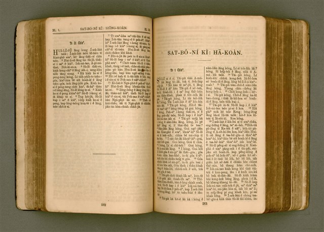 主要名稱：SIN KŪ IOK Ê SÈNG-KENG  TSOÂN SU/其他-其他名稱：新舊約ê聖經全書圖檔，第139張，共572張