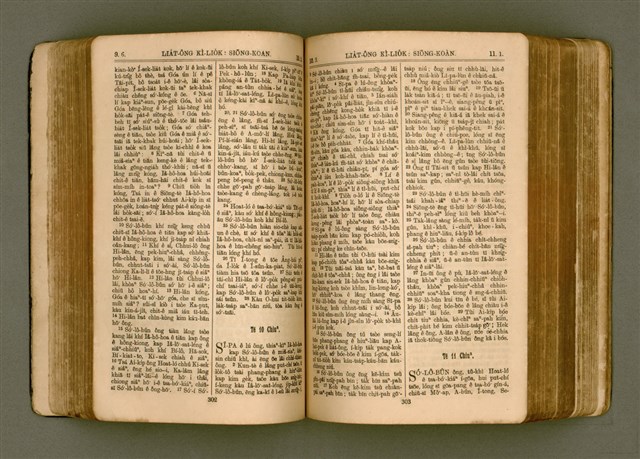 主要名稱：SIN KŪ IOK Ê SÈNG-KENG  TSOÂN SU/其他-其他名稱：新舊約ê聖經全書圖檔，第159張，共572張