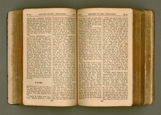 主要名稱：SIN KŪ IOK Ê SÈNG-KENG  TSOÂN SU/其他-其他名稱：新舊約ê聖經全書圖檔，第164張，共572張