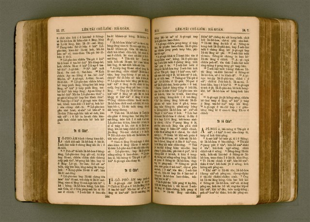 主要名稱：SIN KŪ IOK Ê SÈNG-KENG  TSOÂN SU/其他-其他名稱：新舊約ê聖經全書圖檔，第201張，共572張