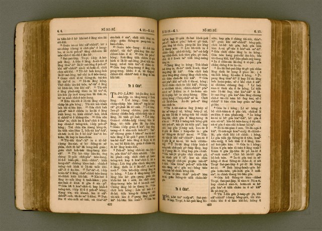 主要名稱：SIN KŪ IOK Ê SÈNG-KENG  TSOÂN SU/其他-其他名稱：新舊約ê聖經全書圖檔，第219張，共572張