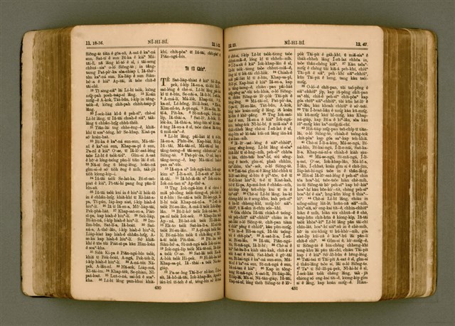 主要名稱：SIN KŪ IOK Ê SÈNG-KENG  TSOÂN SU/其他-其他名稱：新舊約ê聖經全書圖檔，第223張，共572張