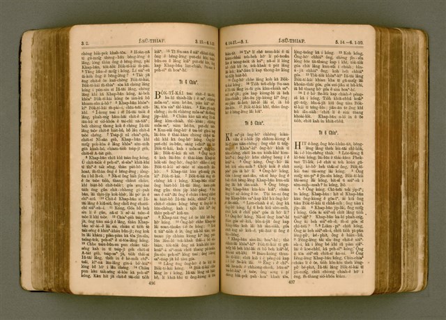 主要名稱：SIN KŪ IOK Ê SÈNG-KENG  TSOÂN SU/其他-其他名稱：新舊約ê聖經全書圖檔，第226張，共572張