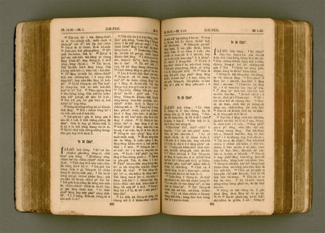 主要名稱：SIN KŪ IOK Ê SÈNG-KENG  TSOÂN SU/其他-其他名稱：新舊約ê聖經全書圖檔，第238張，共572張