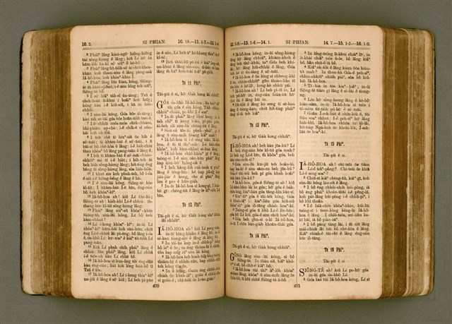 主要名稱：SIN KŪ IOK Ê SÈNG-KENG  TSOÂN SU/其他-其他名稱：新舊約ê聖經全書圖檔，第243張，共572張