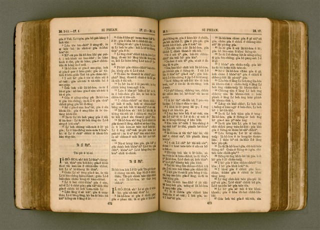 主要名稱：SIN KŪ IOK Ê SÈNG-KENG  TSOÂN SU/其他-其他名稱：新舊約ê聖經全書圖檔，第244張，共572張