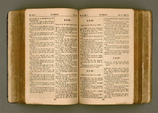 主要名稱：SIN KŪ IOK Ê SÈNG-KENG  TSOÂN SU/其他-其他名稱：新舊約ê聖經全書圖檔，第245張，共572張