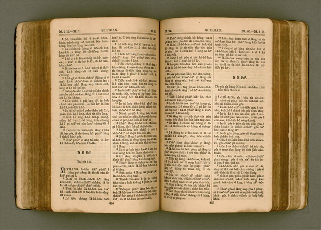 主要名稱：SIN KŪ IOK Ê SÈNG-KENG  TSOÂN SU/其他-其他名稱：新舊約ê聖經全書圖檔，第250張，共572張