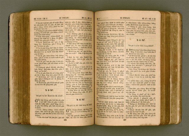 主要名稱：SIN KŪ IOK Ê SÈNG-KENG  TSOÂN SU/其他-其他名稱：新舊約ê聖經全書圖檔，第251張，共572張