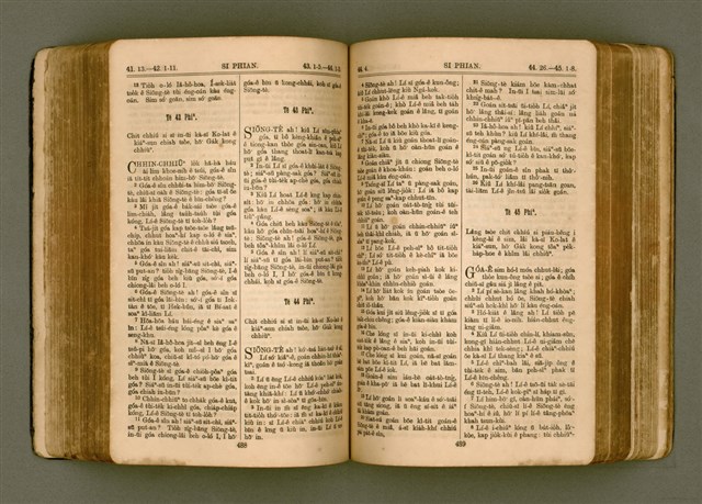 主要名稱：SIN KŪ IOK Ê SÈNG-KENG  TSOÂN SU/其他-其他名稱：新舊約ê聖經全書圖檔，第252張，共572張