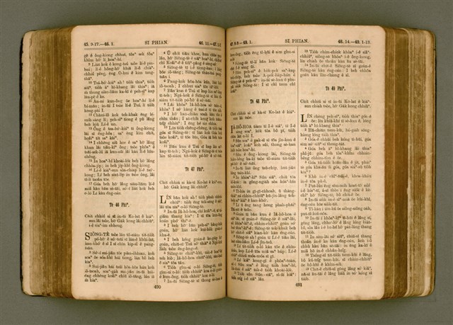主要名稱：SIN KŪ IOK Ê SÈNG-KENG  TSOÂN SU/其他-其他名稱：新舊約ê聖經全書圖檔，第253張，共572張