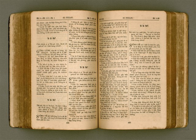 主要名稱：SIN KŪ IOK Ê SÈNG-KENG  TSOÂN SU/其他-其他名稱：新舊約ê聖經全書圖檔，第255張，共572張