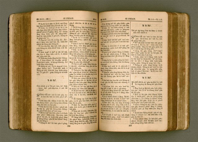 主要名稱：SIN KŪ IOK Ê SÈNG-KENG  TSOÂN SU/其他-其他名稱：新舊約ê聖經全書圖檔，第259張，共572張