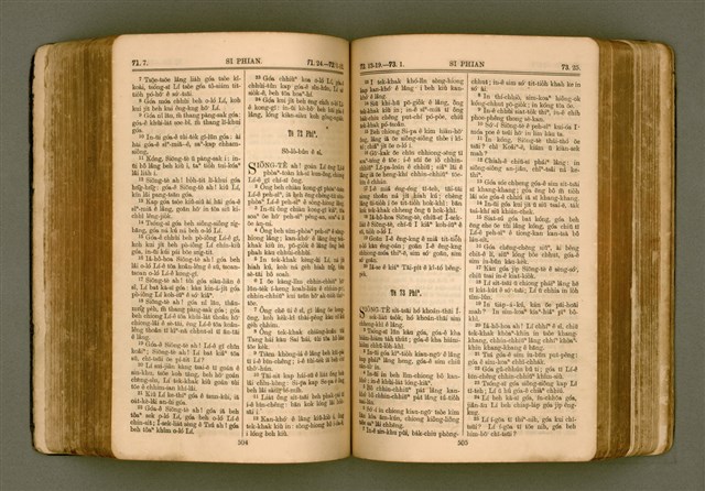 主要名稱：SIN KŪ IOK Ê SÈNG-KENG  TSOÂN SU/其他-其他名稱：新舊約ê聖經全書圖檔，第260張，共572張