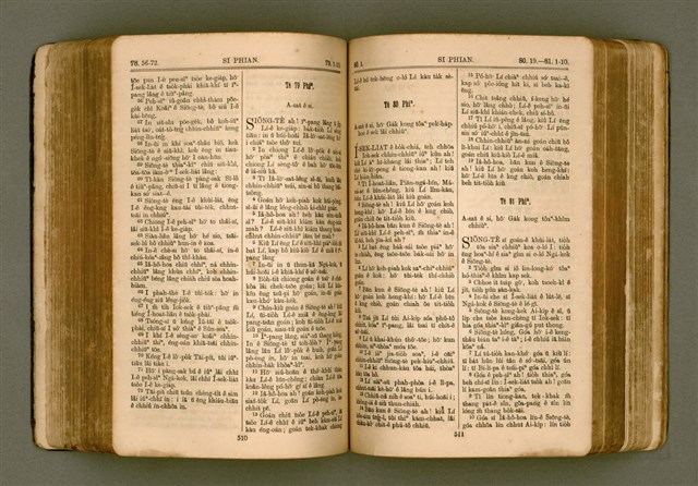 主要名稱：SIN KŪ IOK Ê SÈNG-KENG  TSOÂN SU/其他-其他名稱：新舊約ê聖經全書圖檔，第263張，共572張