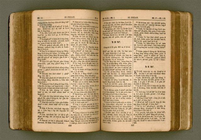 主要名稱：SIN KŪ IOK Ê SÈNG-KENG  TSOÂN SU/其他-其他名稱：新舊約ê聖經全書圖檔，第266張，共572張