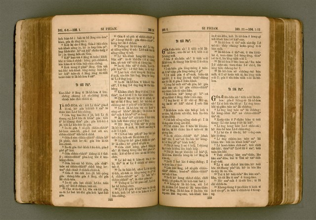 主要名稱：SIN KŪ IOK Ê SÈNG-KENG  TSOÂN SU/其他-其他名稱：新舊約ê聖經全書圖檔，第269張，共572張