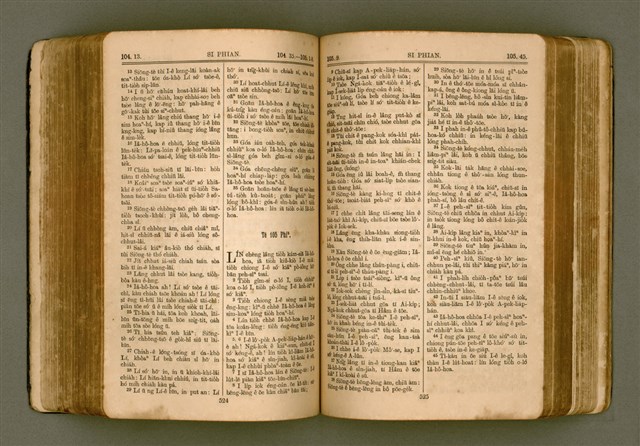 主要名稱：SIN KŪ IOK Ê SÈNG-KENG  TSOÂN SU/其他-其他名稱：新舊約ê聖經全書圖檔，第270張，共572張