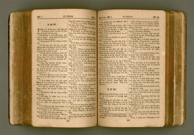 主要名稱：SIN KŪ IOK Ê SÈNG-KENG  TSOÂN SU/其他-其他名稱：新舊約ê聖經全書圖檔，第271張，共572張