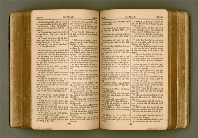 主要名稱：SIN KŪ IOK Ê SÈNG-KENG  TSOÂN SU/其他-其他名稱：新舊約ê聖經全書圖檔，第275張，共572張