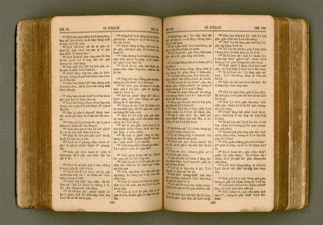 主要名稱：SIN KŪ IOK Ê SÈNG-KENG  TSOÂN SU/其他-其他名稱：新舊約ê聖經全書圖檔，第276張，共572張