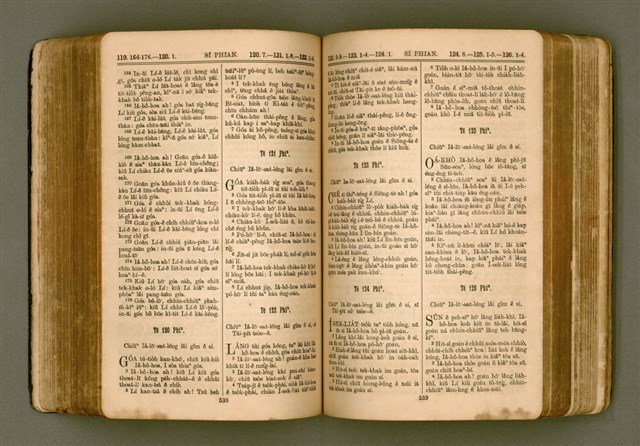 主要名稱：SIN KŪ IOK Ê SÈNG-KENG  TSOÂN SU/其他-其他名稱：新舊約ê聖經全書圖檔，第277張，共572張