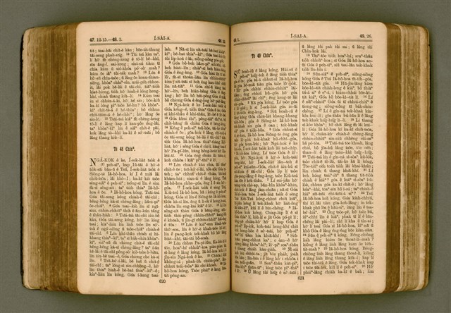 主要名稱：SIN KŪ IOK Ê SÈNG-KENG  TSOÂN SU/其他-其他名稱：新舊約ê聖經全書圖檔，第318張，共572張